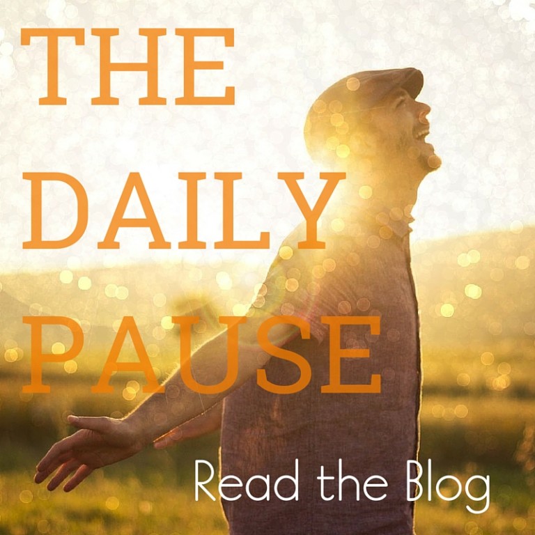screamfree blog the daily pause