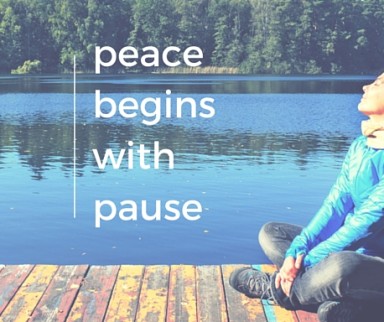 screamfree peace begins with pause