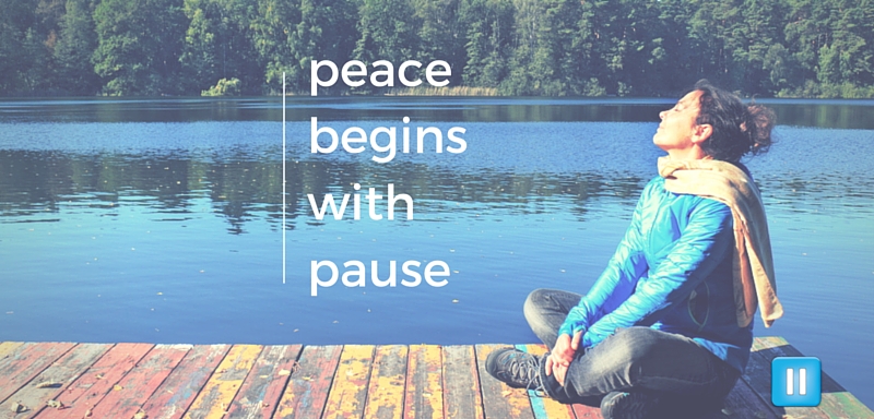 screamfree peace begins with pause